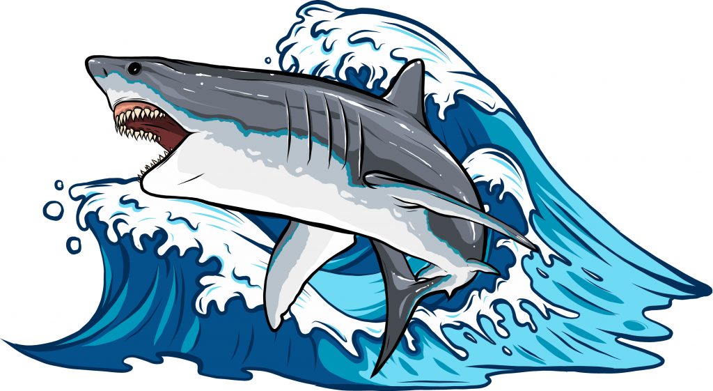 Cartoon,Vector,Illustration,Of,White,Shark,Design