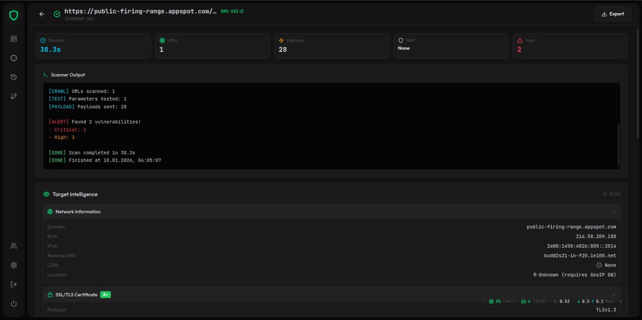 扫描详情 - 概览