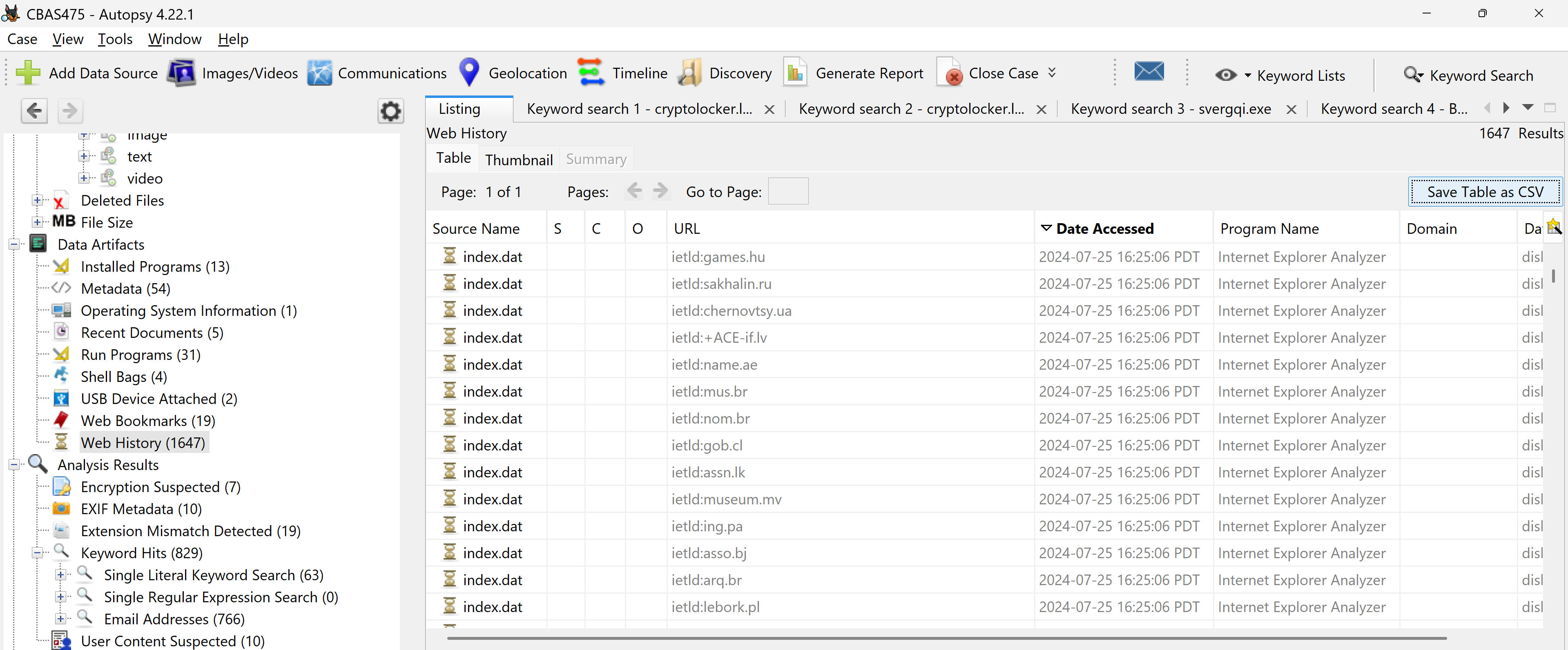 可疑的 Web 历史记录