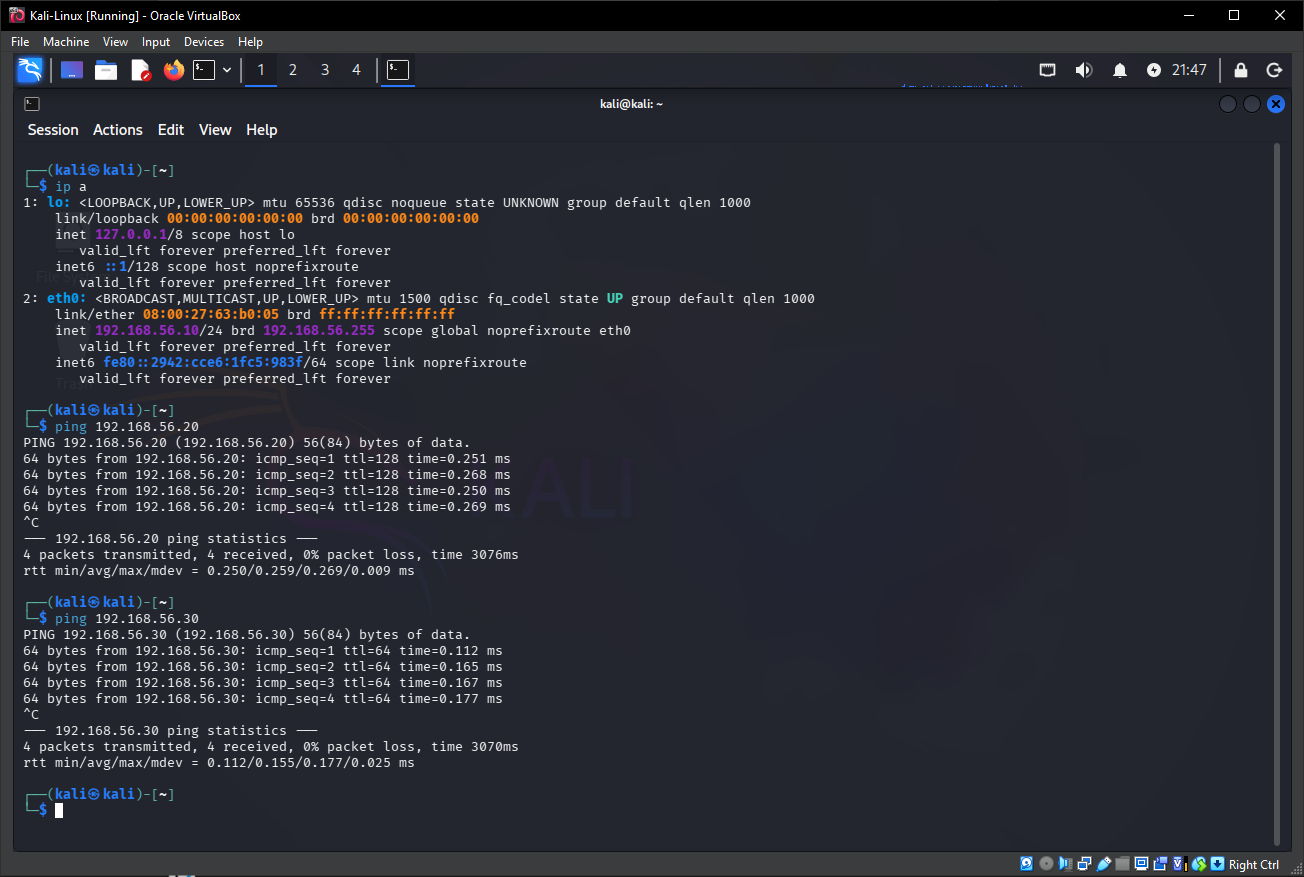 Kali Network Settings