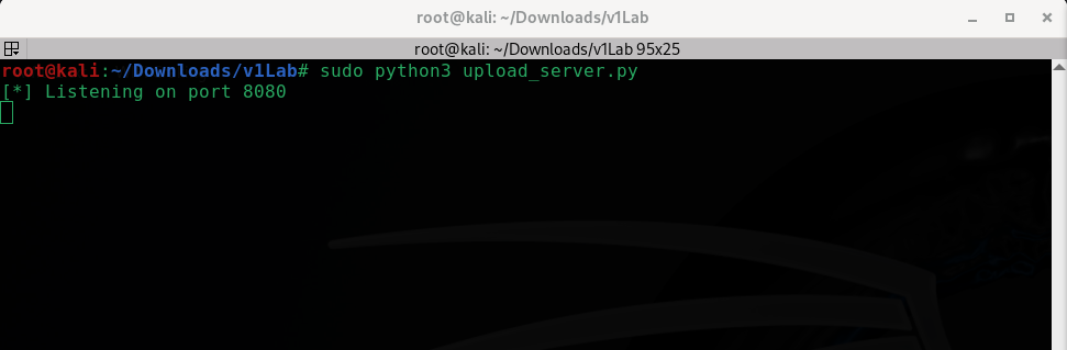 Kali 终端：Netcat 监听器