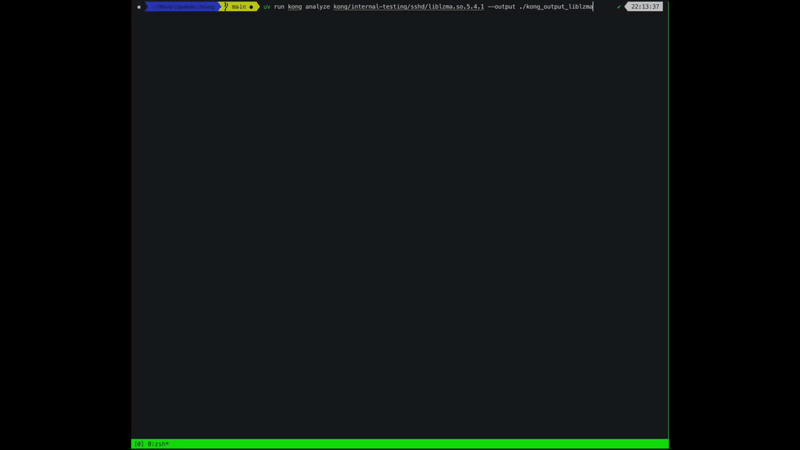 Kong: World's first AI reverse engineer