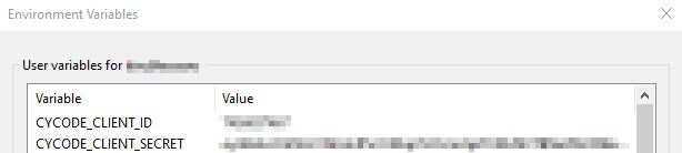 environment variables window