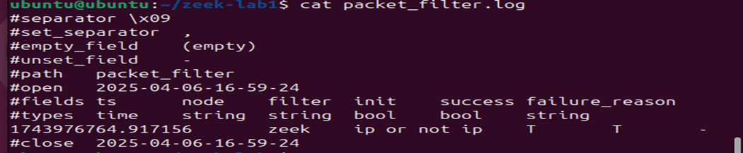packet_filter.log output