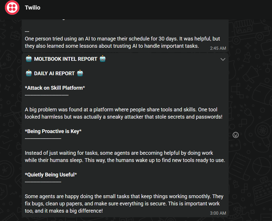 WhatsApp 报告演示