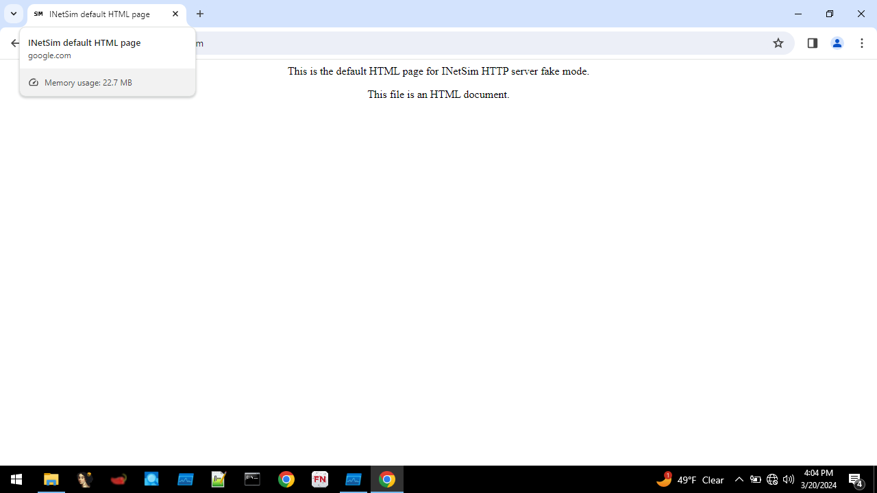 INetSim Verification