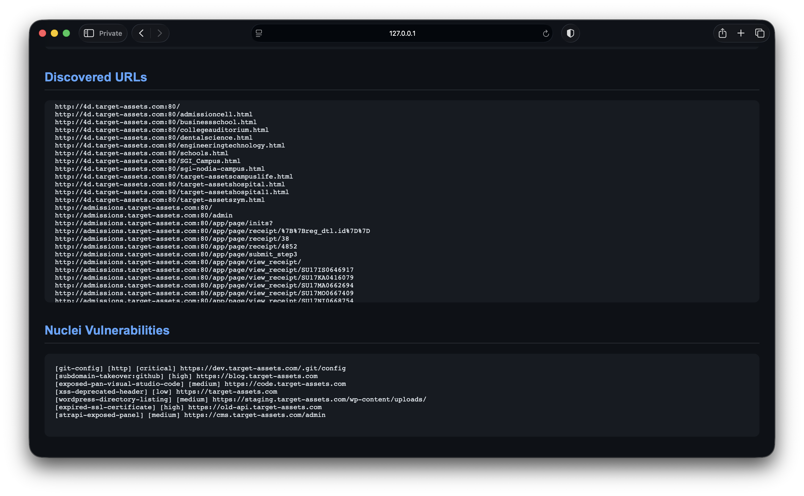 ReconHunter Report Preview