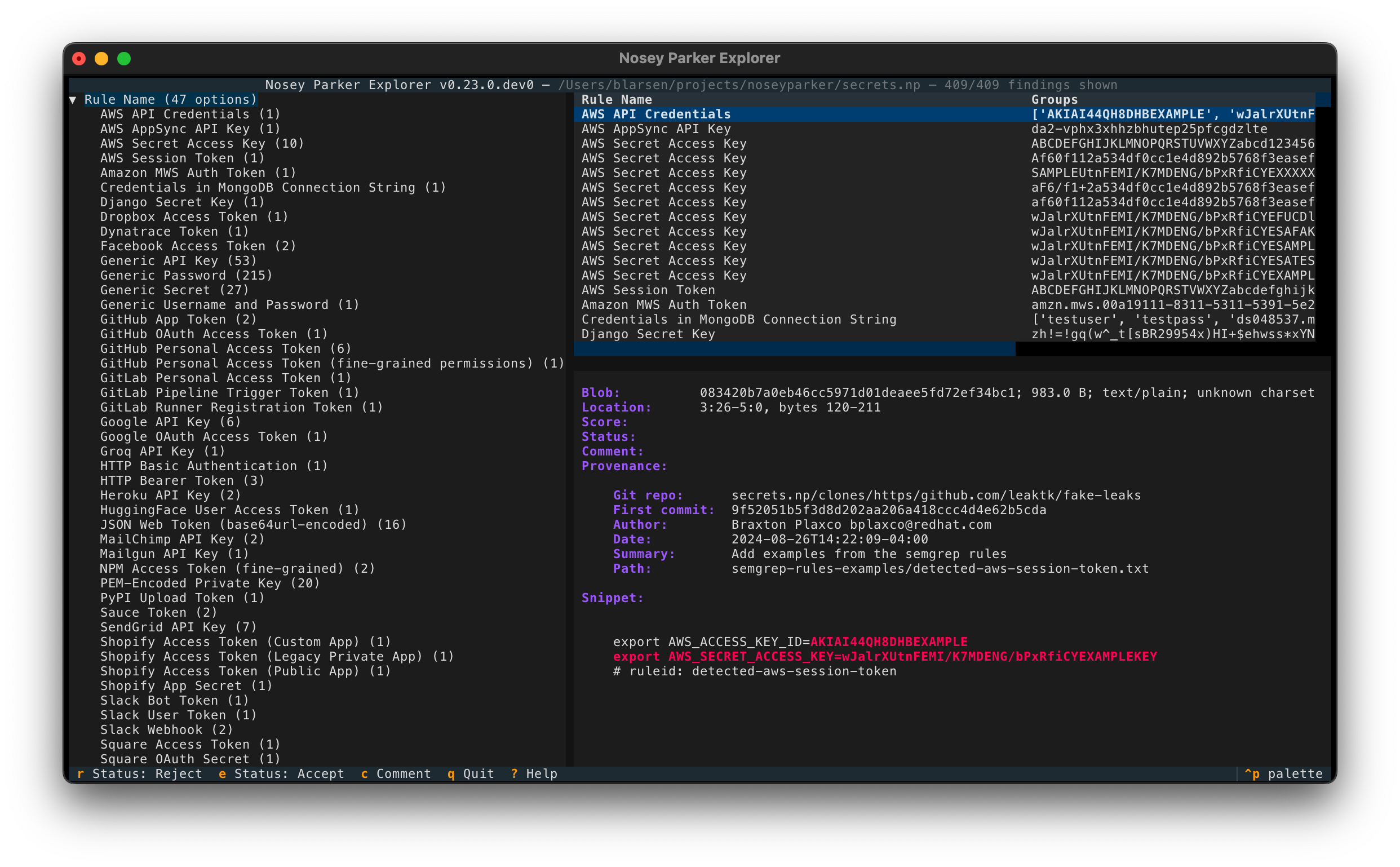 展示 Nosey Parker Explorer 主界面的截图