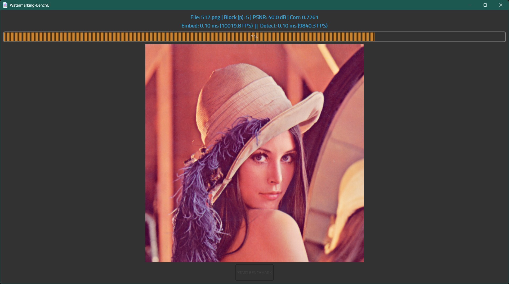 Watermarking-BenchUI_QTaFwyJDQY