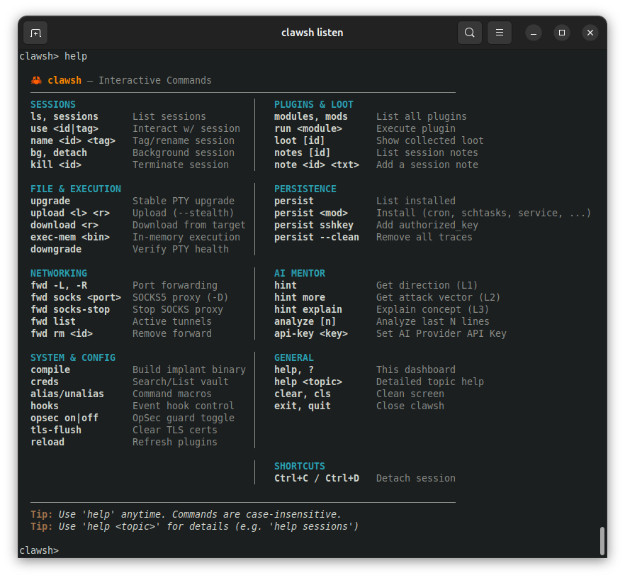 Agent 已连接 — 信息输出