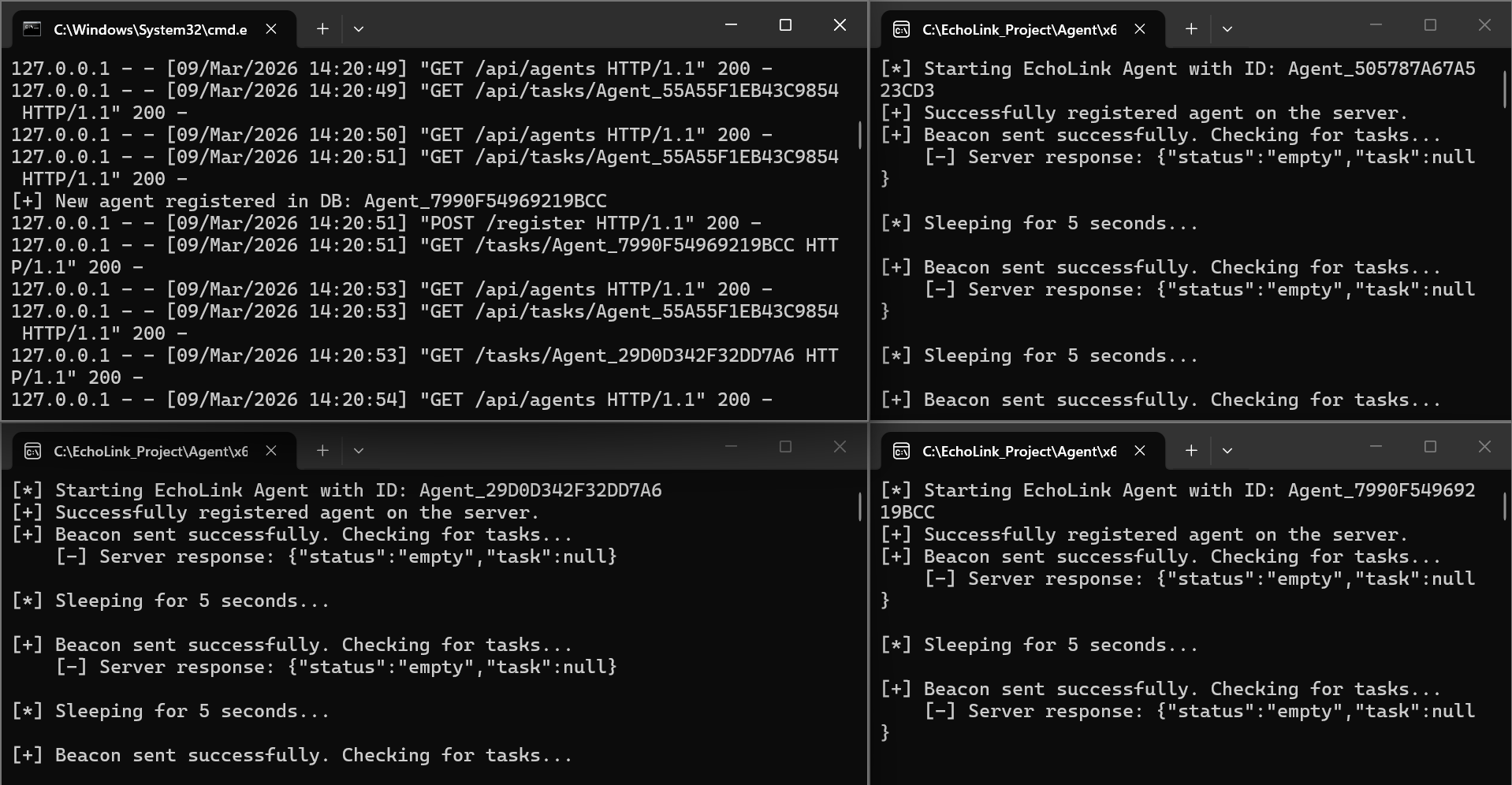 EchoLink Dashboard Execution
