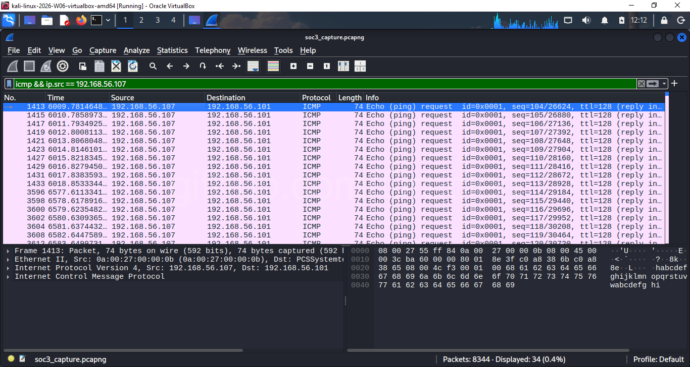 Wireshark ICMP Ping 过滤器
