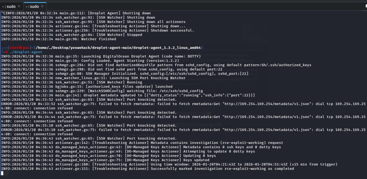 photo_1_2026-03-22_13-46-01