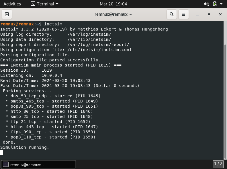 INetSim Running on REMnux