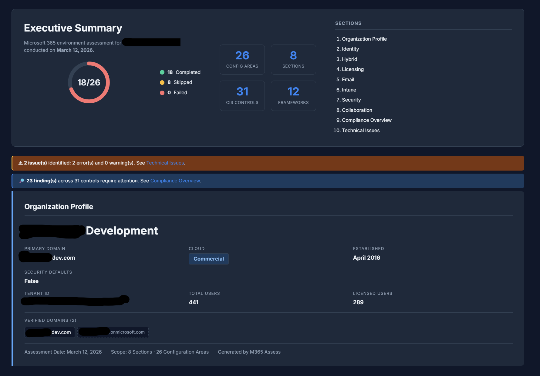 Executive summary with collector status, org profile, and section navigation