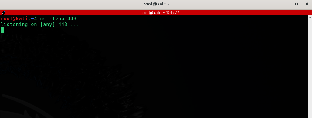 Kali 终端：上传服务器