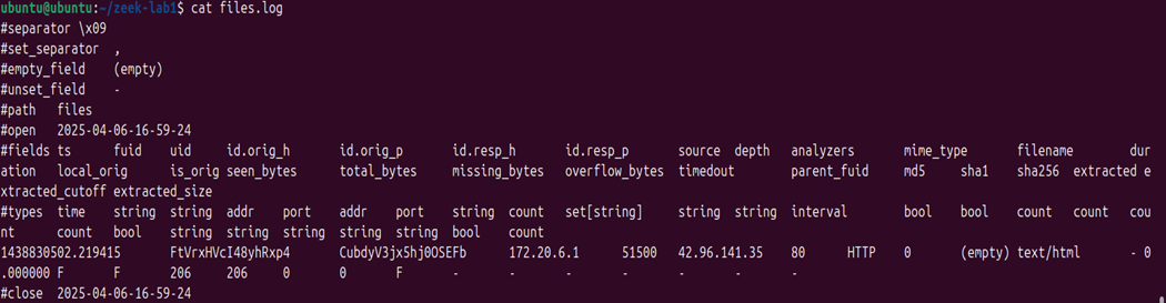 files.log output