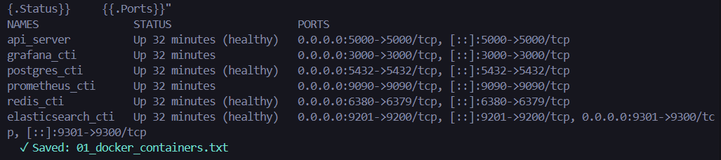Docker Containers Running
