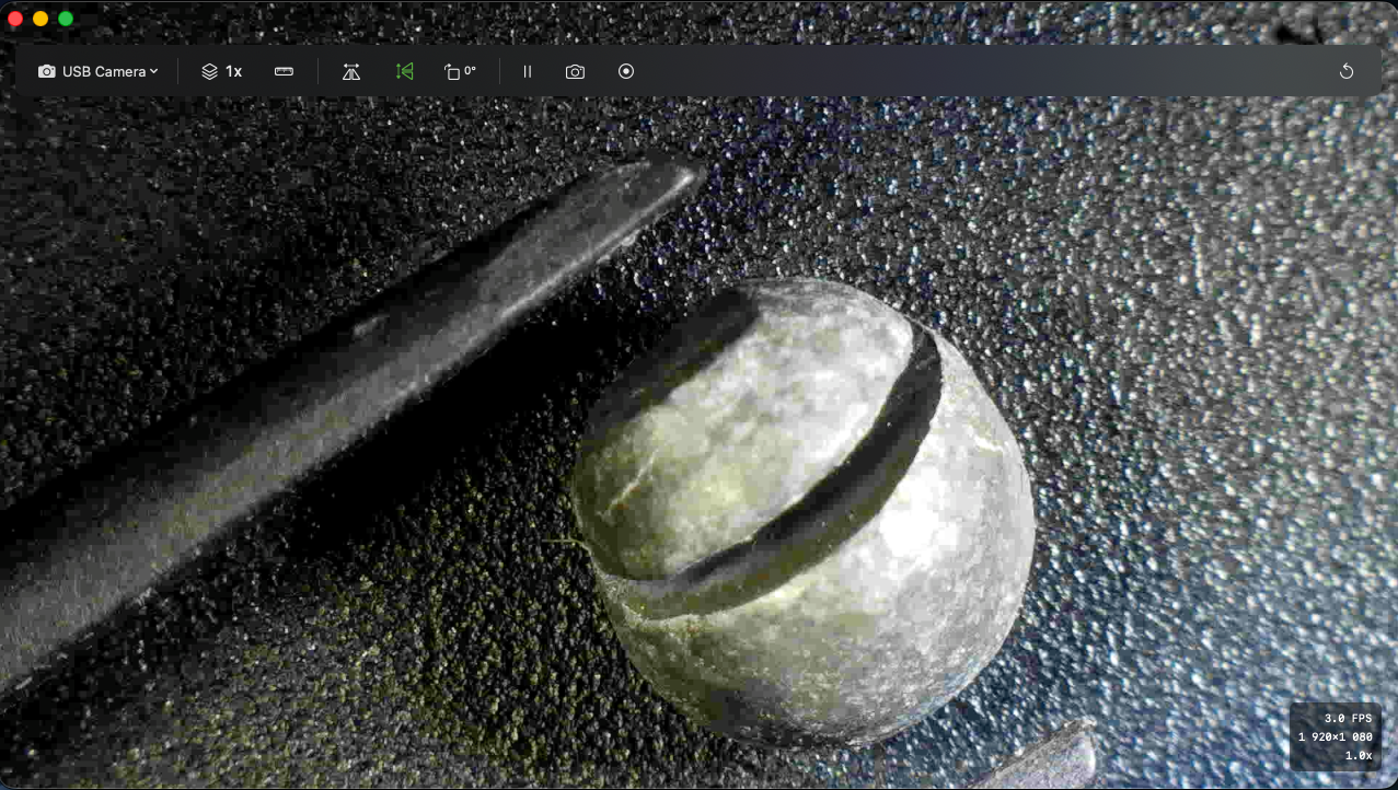 Seeds under microscope view