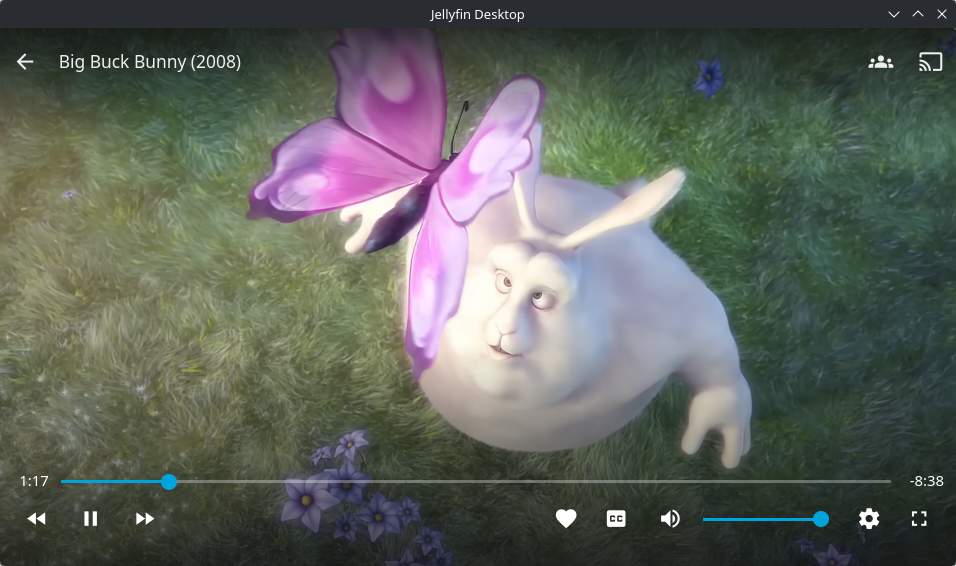 Jellyfin Desktop 截图