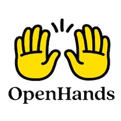OpenHands