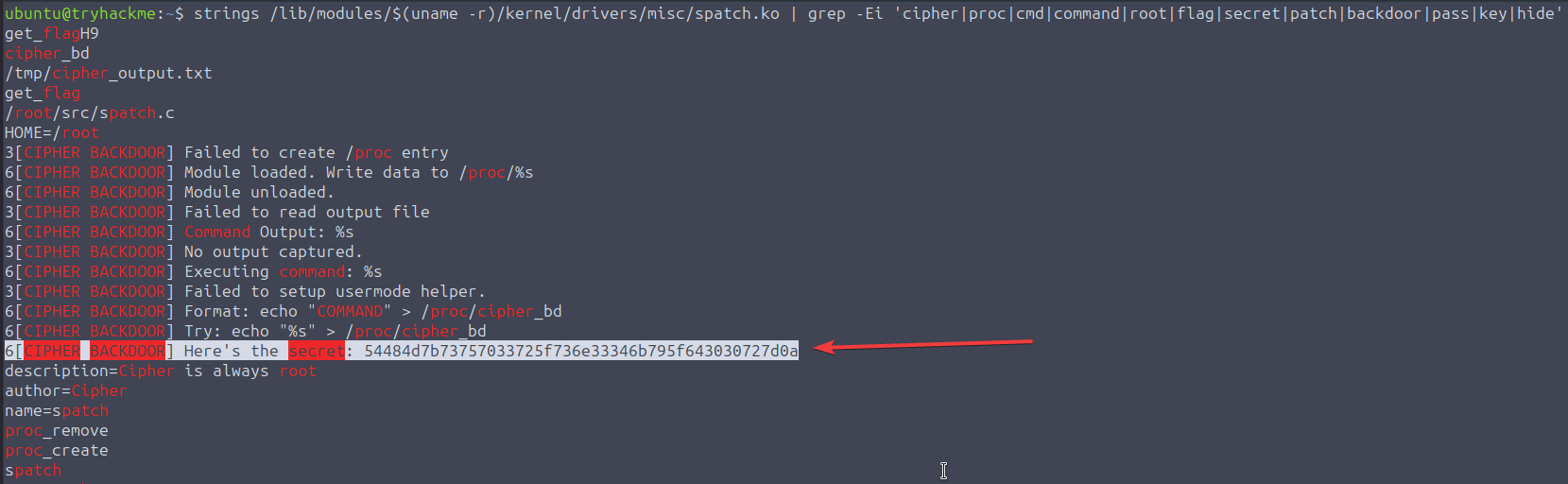 模块的 Strings 输出