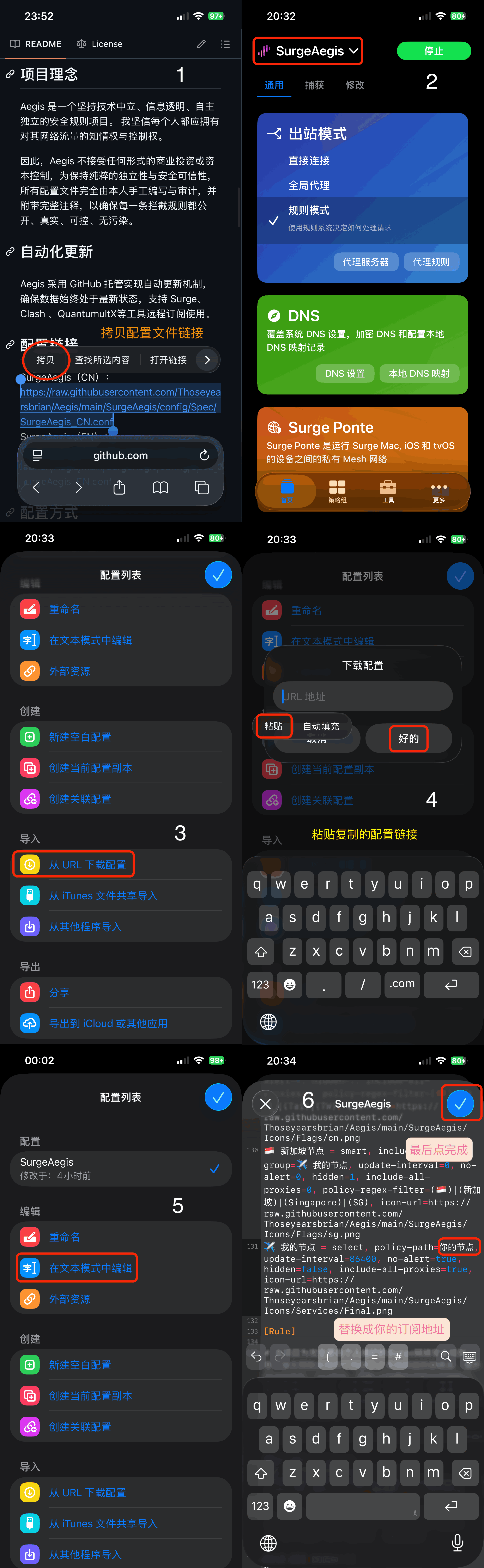 Surge iOS：Aegis_CN 规则集配置导入步骤示意图（简体中文）