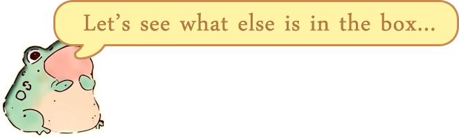 What else is in the box?