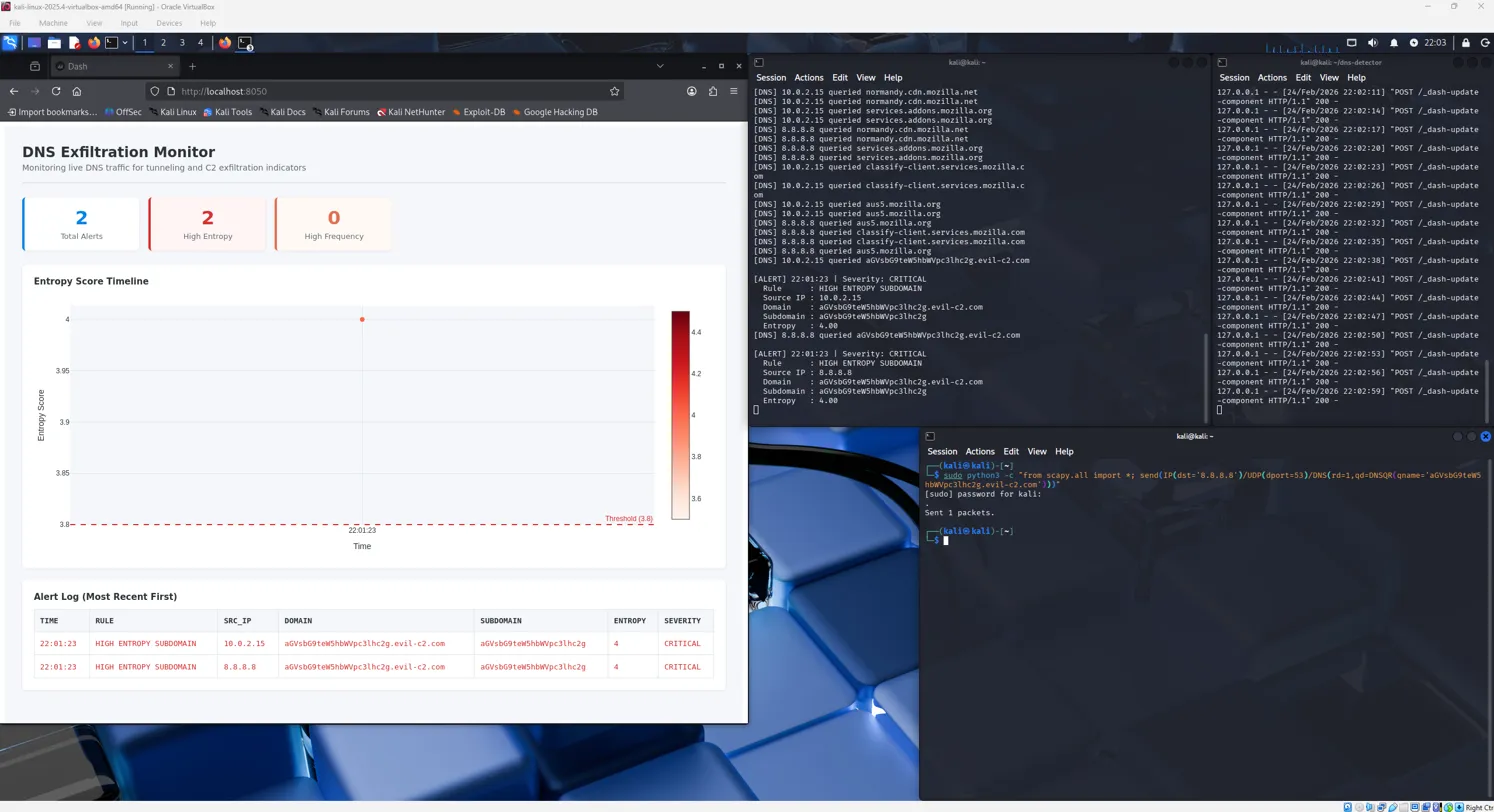 仪表板捕获模拟的 DNS 渗透攻击