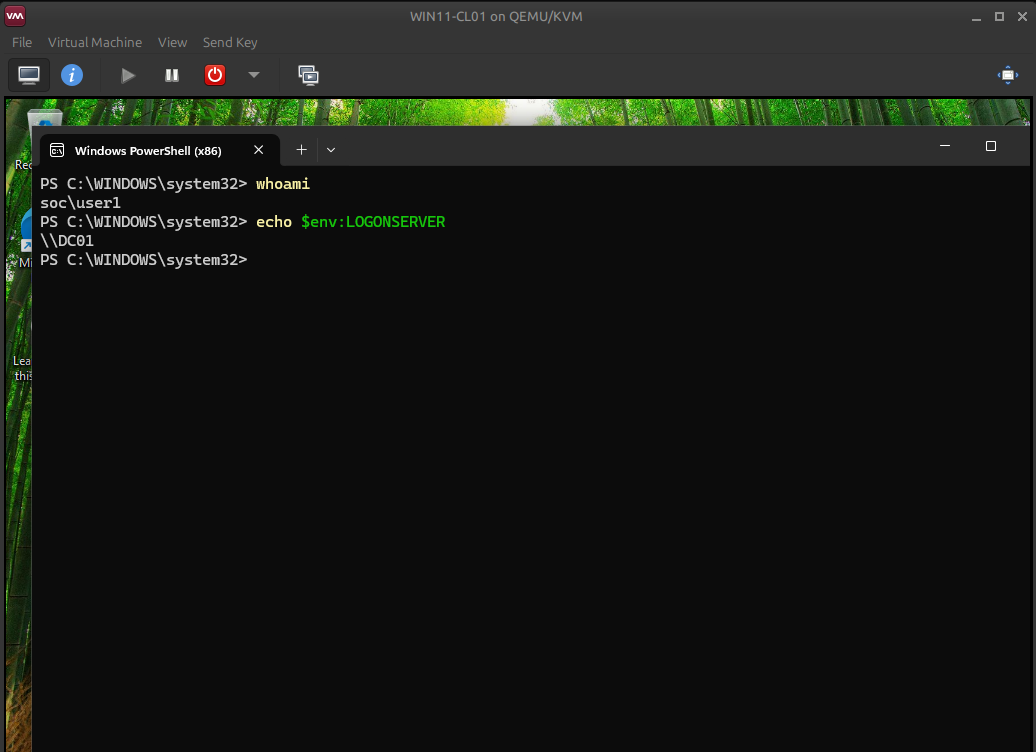 WIN11 domain identity tests