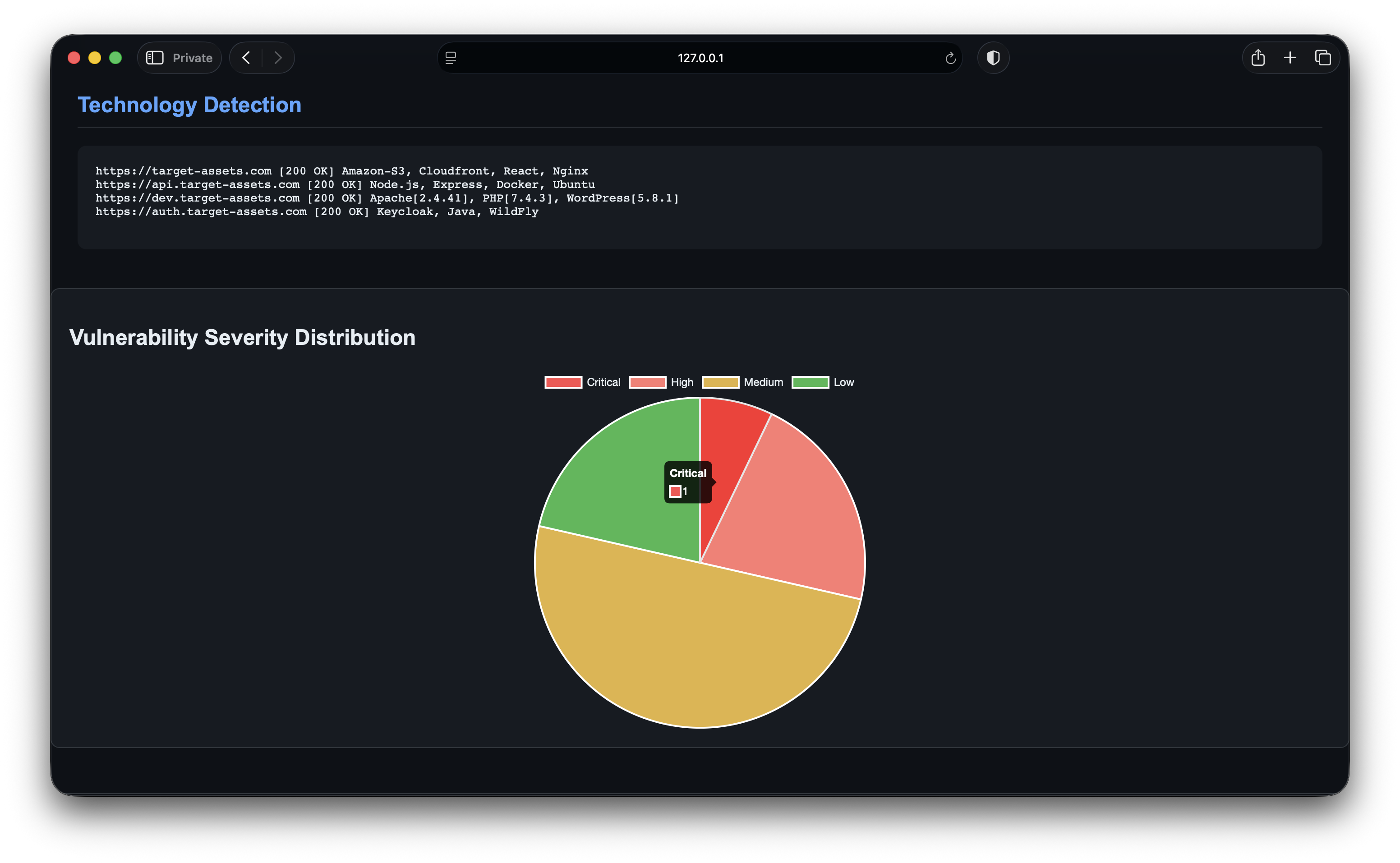ReconHunter Report Preview