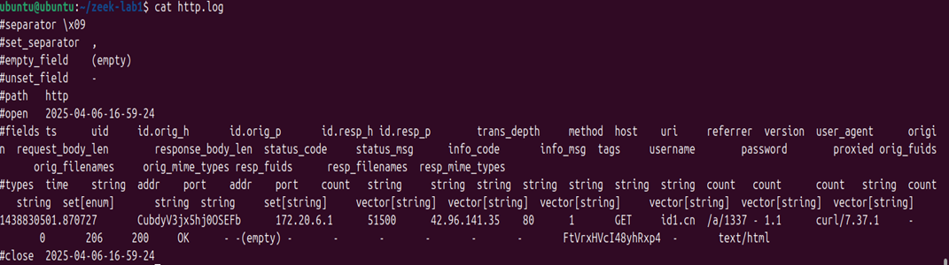 conn.log / http.log output