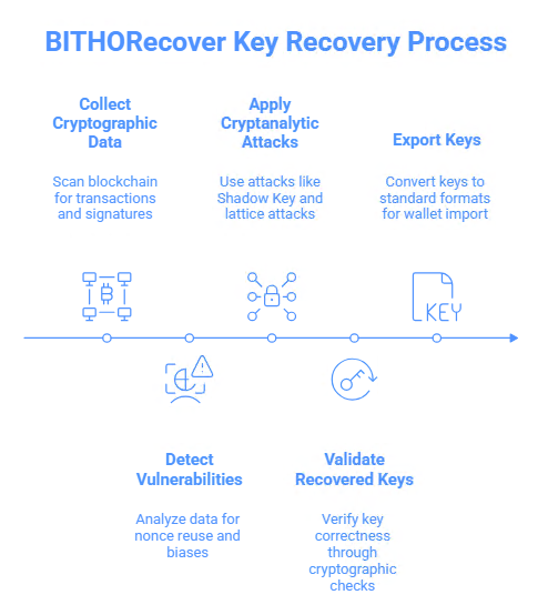 Shadow Key Attack: Fundamental Threat of Bitcoin Transaction Nonce Leak from EUCLEAK Mechanism via Extended Euclidean Algorithm Side Channels in YubiKey 5 and Infineon Microcontrollers
