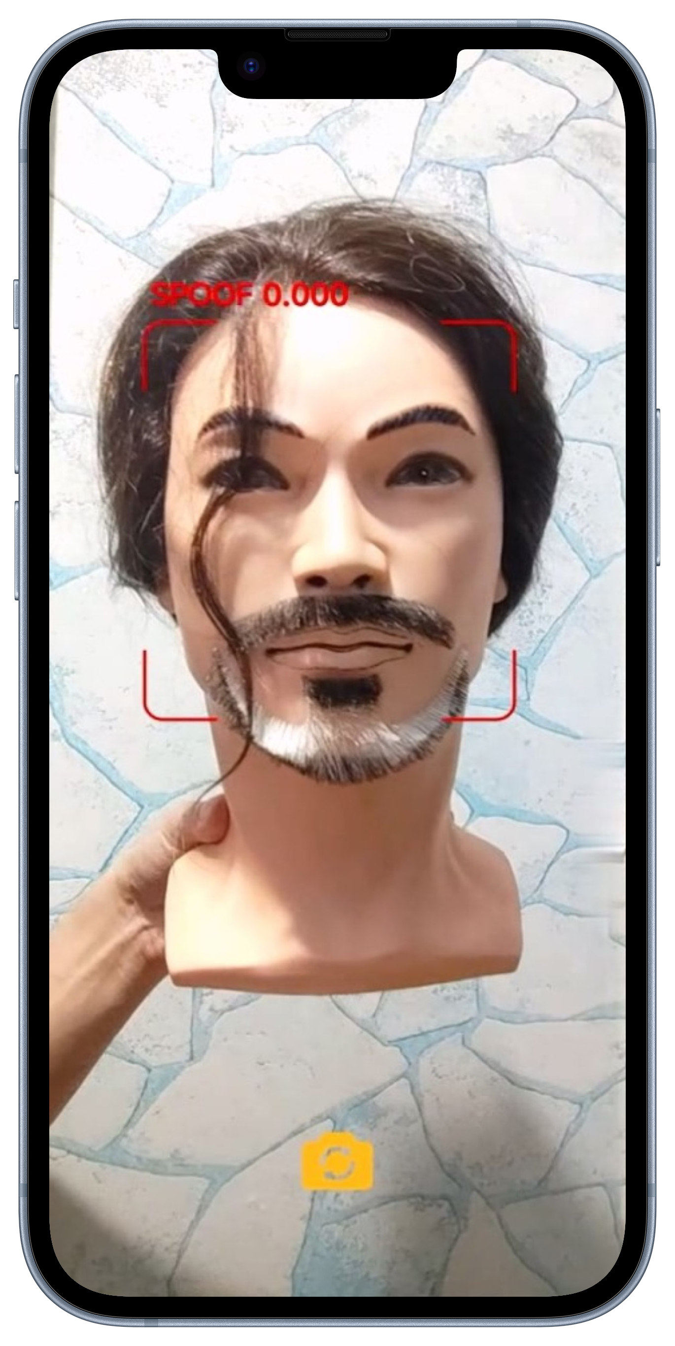 face recognition, liveness detection ios demo snap 6
