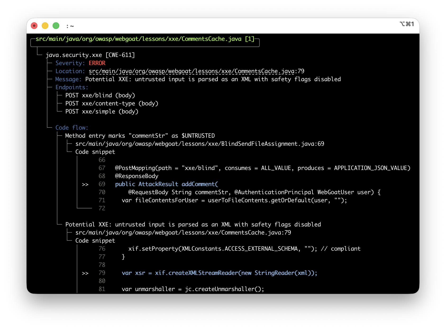 OpenTaint scan output