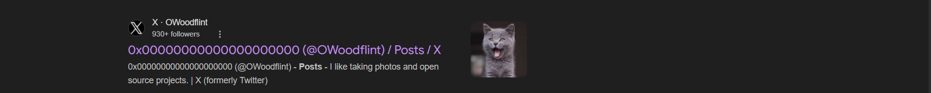 Twitter 个人资料