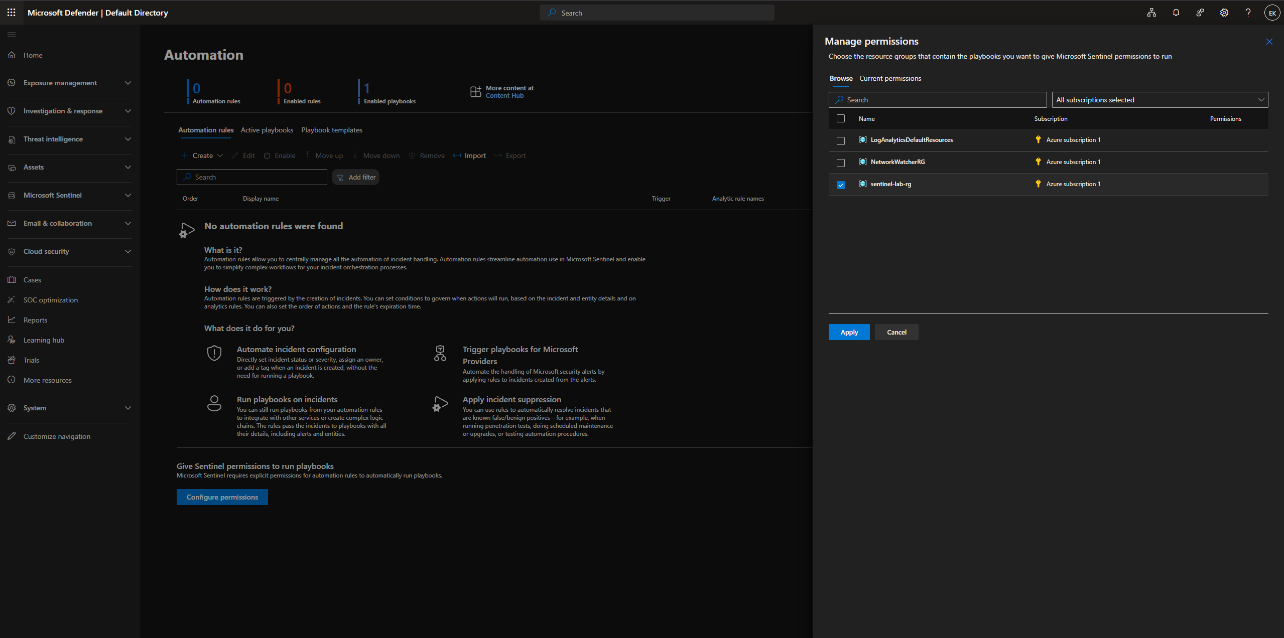 管理权限 - sentinel-lab-rg