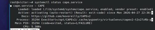 Figure 1.8 — cape.service active and stable