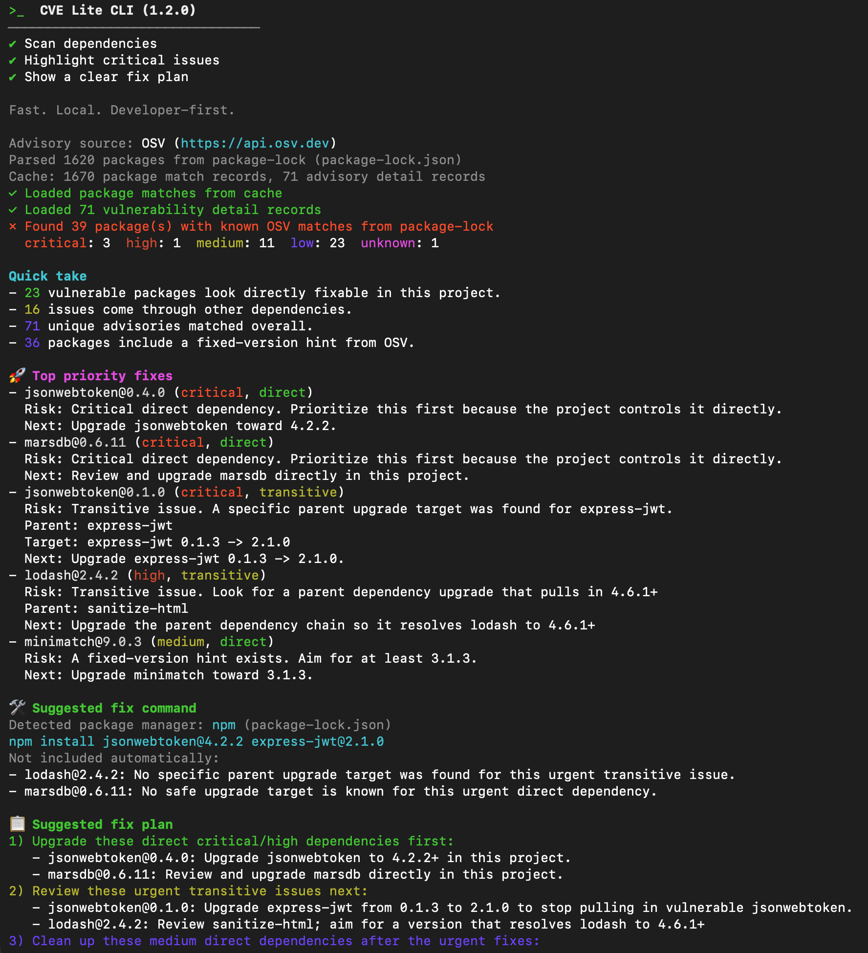 CVE Lite CLI verbose output screenshot