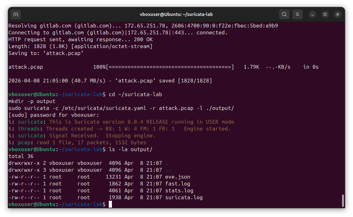 Suricata processing a PCAP and generating alerts