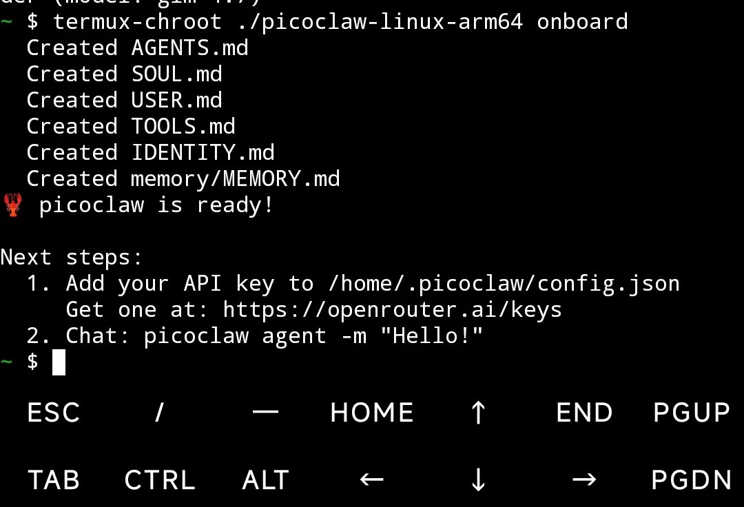 PicoClaw on Termux