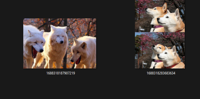 Media Folder Example