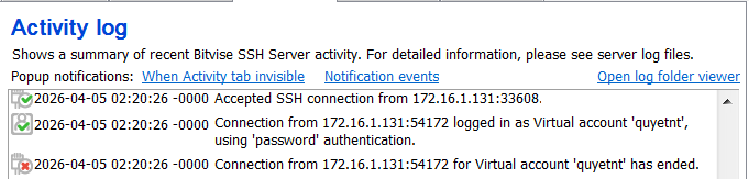 Bitvise Activity Log