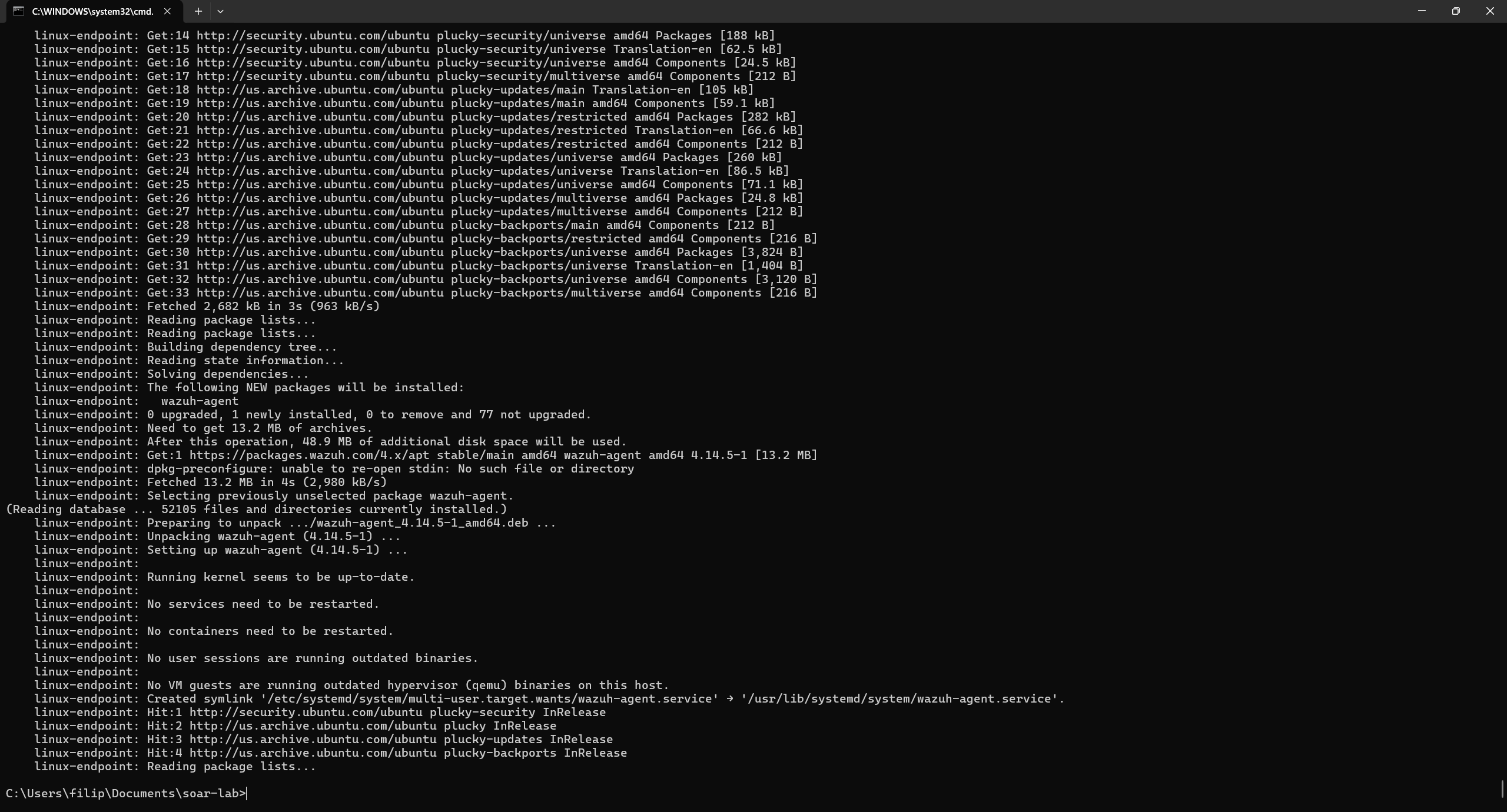 Linux endpoint provisioning