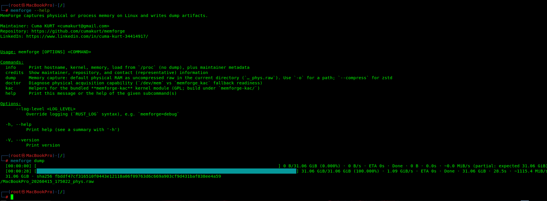 MemForge info and dump output