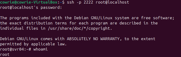 SSH 模拟攻击
