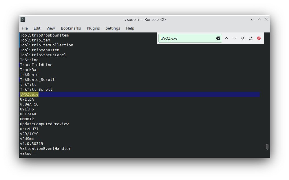 Figure 5.6 — Strings: tWQZ.exe reference