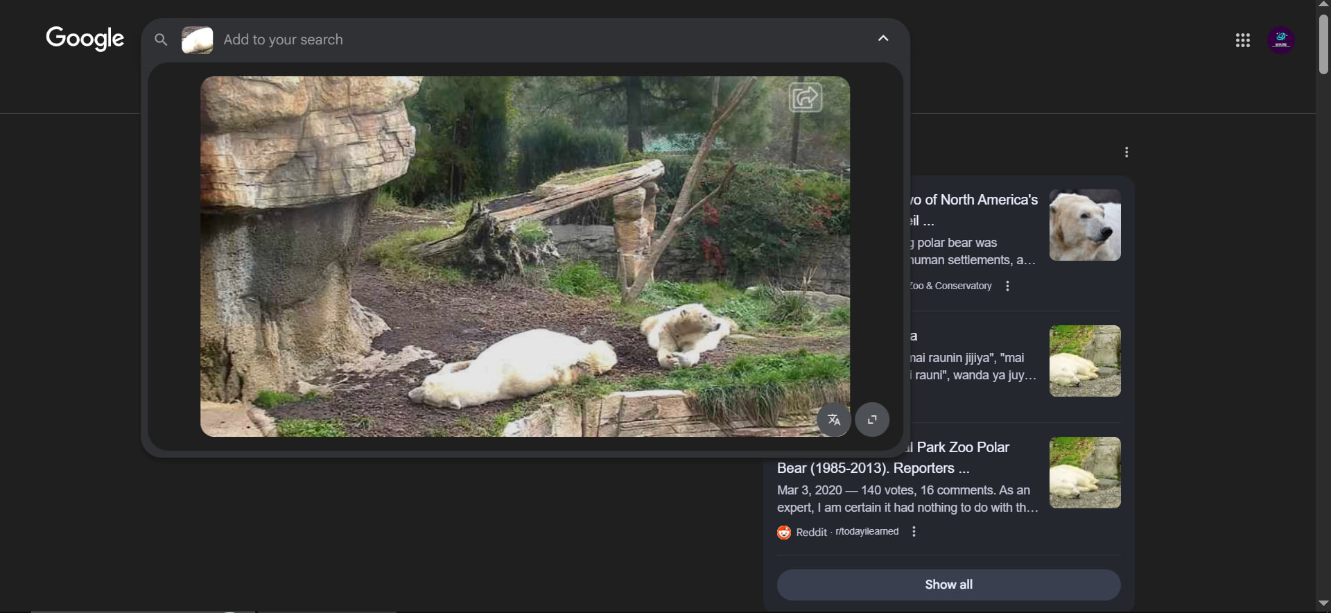 Google Lens 反向搜索